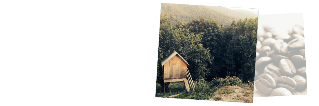 The TOR network is all about privacy.